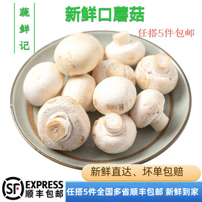 【蔬鲜记】口蘑250g 新鲜食用菌菇白蘑菇口菇 双孢菇煲汤蔬菜