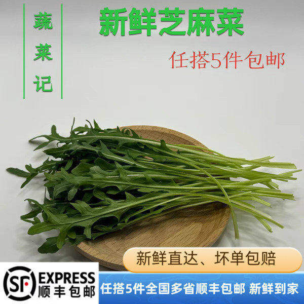 芝麻菜500g新鲜蔬菜沙拉食材西餐健身轻食生吃色拉生菜火箭菜生菜