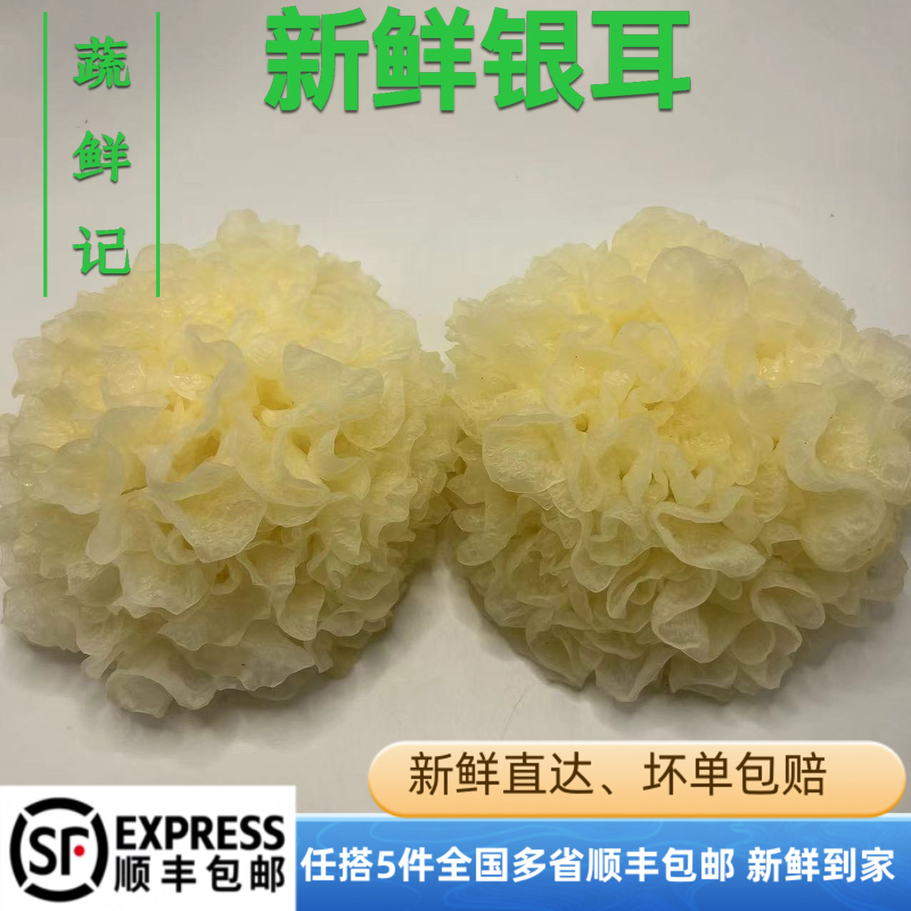 新鲜银耳白木耳鲜雪耳非干货古田糯银耳莲子羹3朵盒装活银耳500g