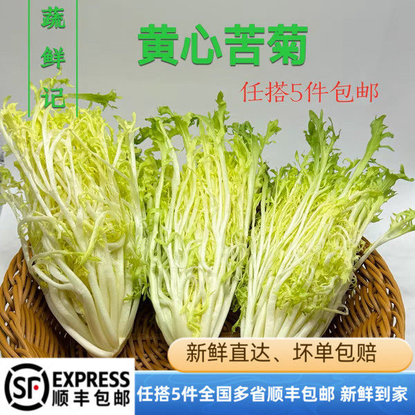 新鲜黄心苦菊新鲜蔬菜苦菊蔬菜沙拉西餐食材健身轻食蔬菜沙拉500g,水产肉类/新鲜蔬果/熟食,叶菜类,淘宝优惠券,粉丝福利购,淘宝优惠卷