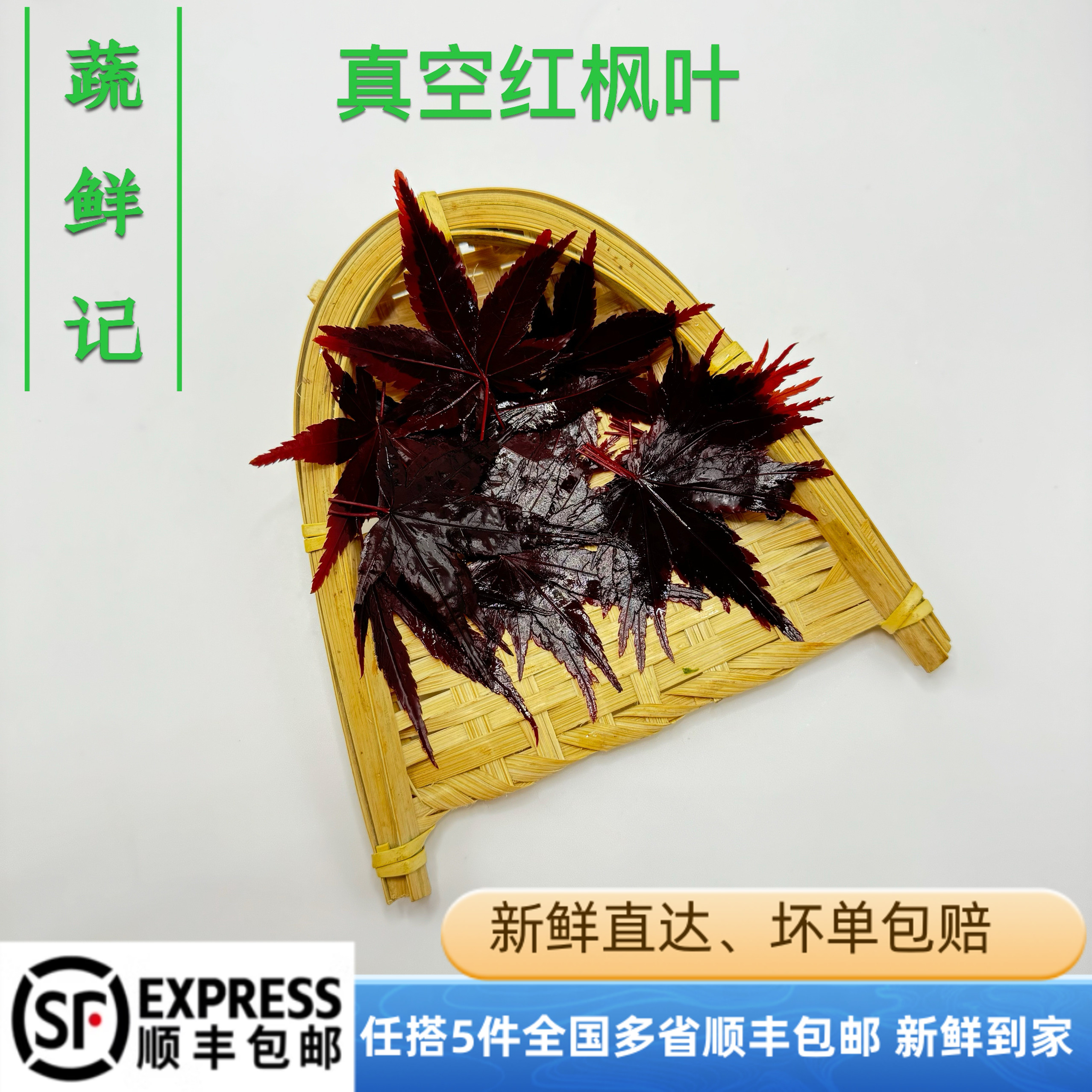 新鲜真空红枫叶枫树叶现摘现发西餐咖啡饮品日料餐饮摆盘装饰花草