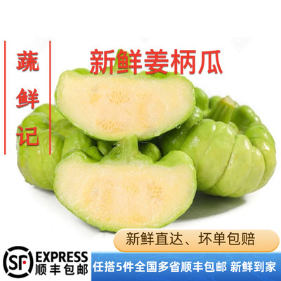 新鲜姜柄瓜云南当季时令南瓜板栗味网红小南瓜新鲜当季姜柄瓜