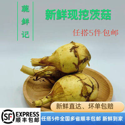 新鲜蔬菜山茨菇白慈姑茨菰马蹄荸荠燕尾草地栗芽菇特产兹池姑