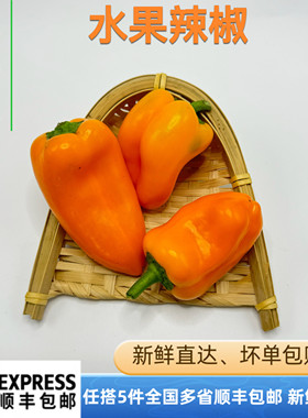新鲜蔬菜橙色水果辣椒 生吃即食西餐沙拉健身水果椒彩椒500g
