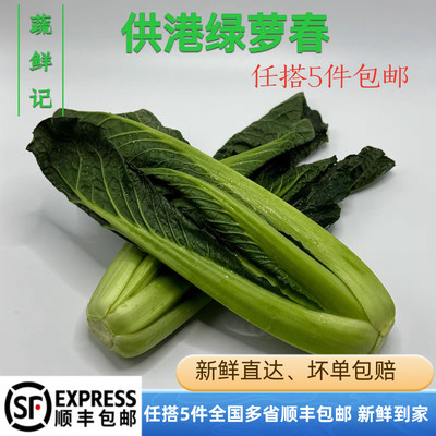 供港绿萝春新鲜蔬菜宁夏供港品质应季蔬菜春菜甘甜爽口500g