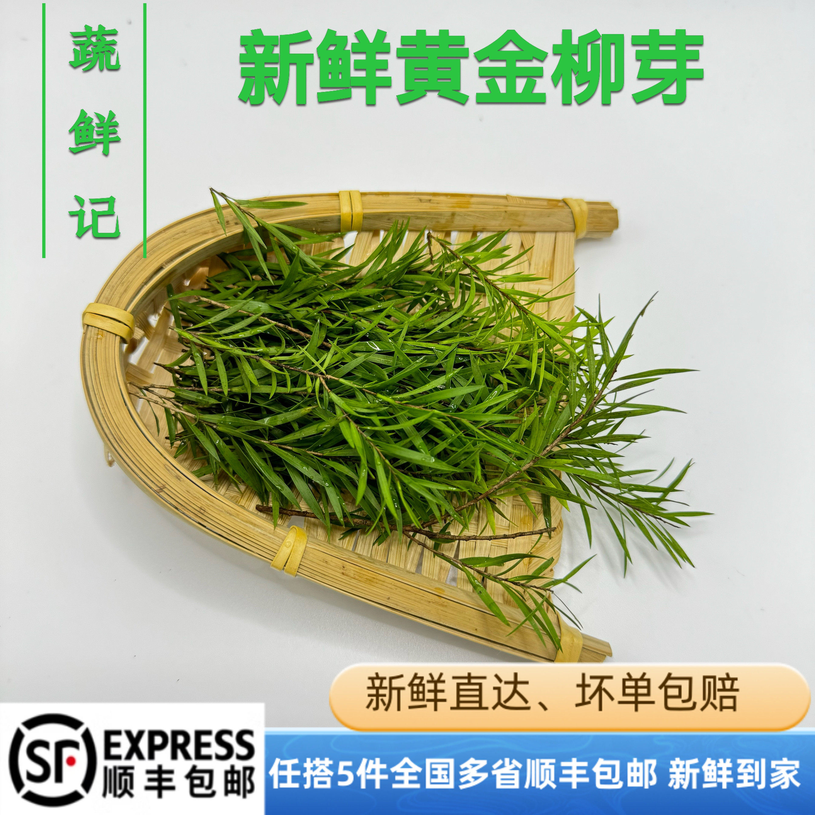 新鲜黄金柳芽黄松 50支左右盒酒店餐厅摆盘装饰西餐日料点缀鲜花,水产肉类/新鲜蔬果/熟食,蔬菜沙拉,淘宝优惠券,粉丝福利购,淘宝优惠卷