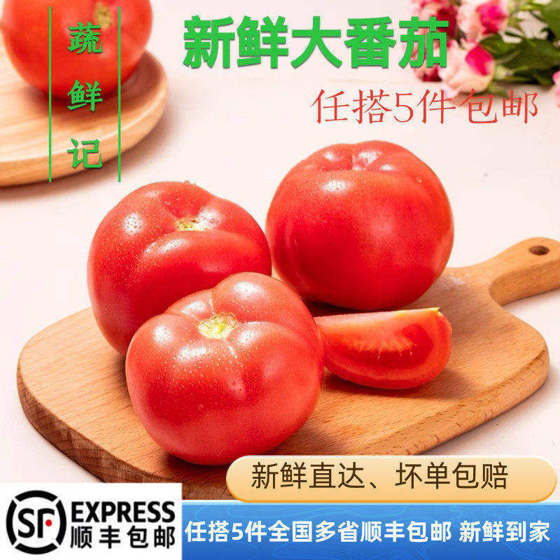 【蔬鲜记】西红柿500g新鲜大番茄沙瓤可生吃自然熟孕妇水果小粉