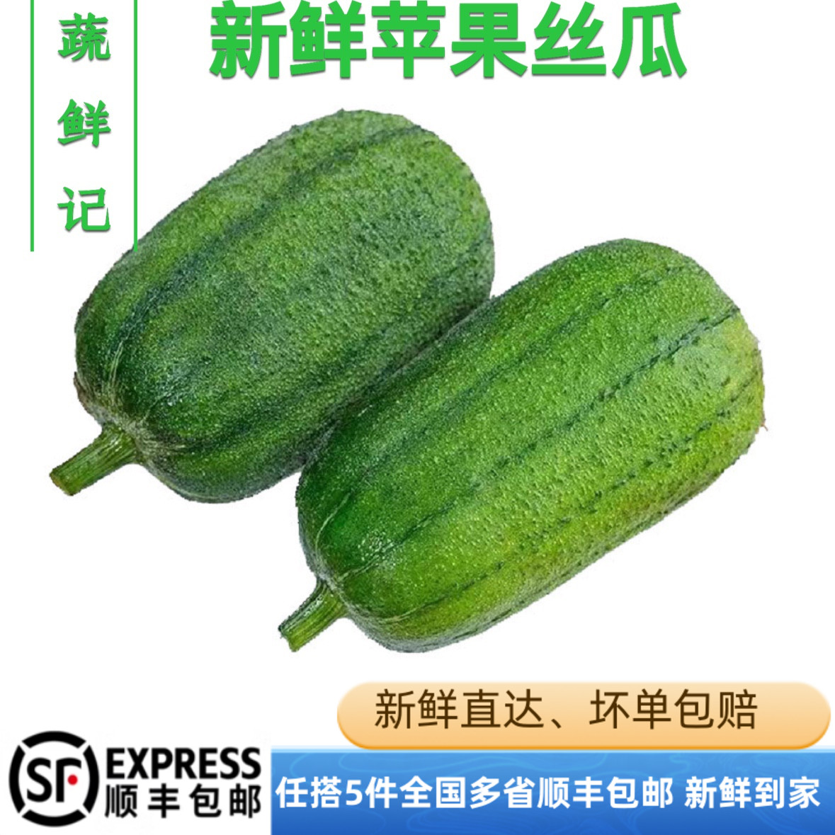 新鲜苹果丝瓜500g圆胖肉丝瓜甜脆滑嫩 新鲜蔬菜