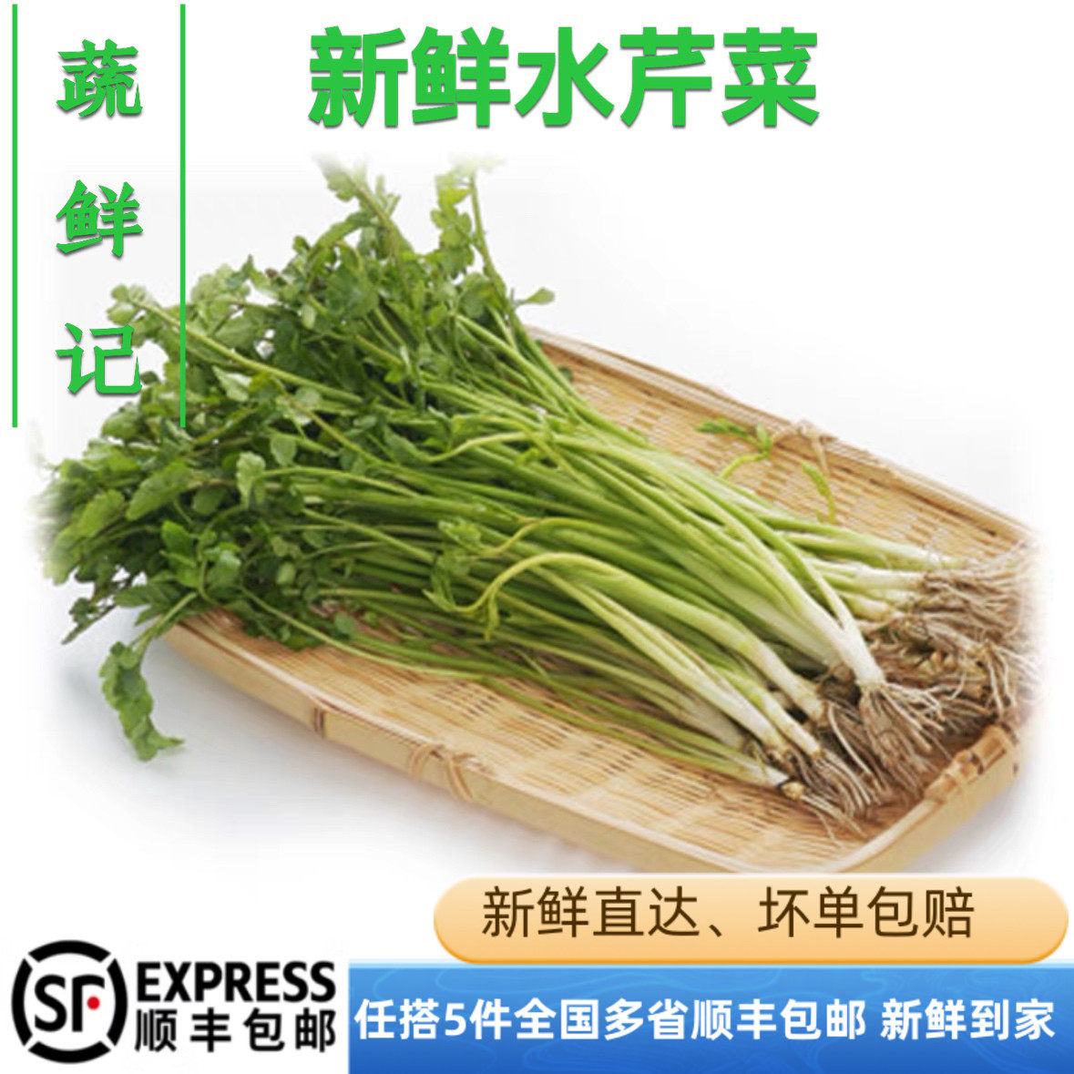 【蔬鲜记】新鲜水芹菜应季酒店食材水芹小叶农家野菜500克,水产肉类/新鲜蔬果/熟食,叶菜类,淘宝优惠券,粉丝福利购,淘宝优惠卷