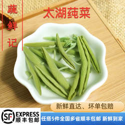 苏州太湖新鲜莼菜275克嫩芽级野菜PK西湖莼菜马蹄菜利川纯菜食用