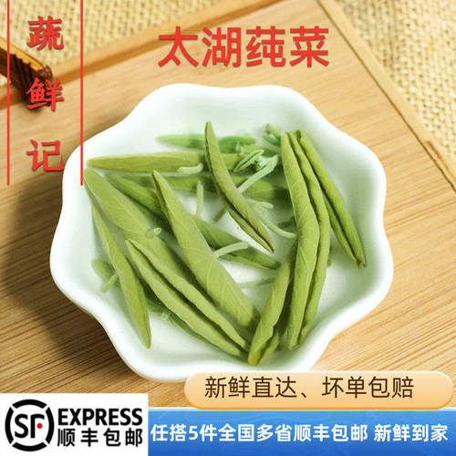 苏州太湖新鲜莼菜275克嫩芽级野菜PK西湖莼菜马蹄菜利川纯菜食用