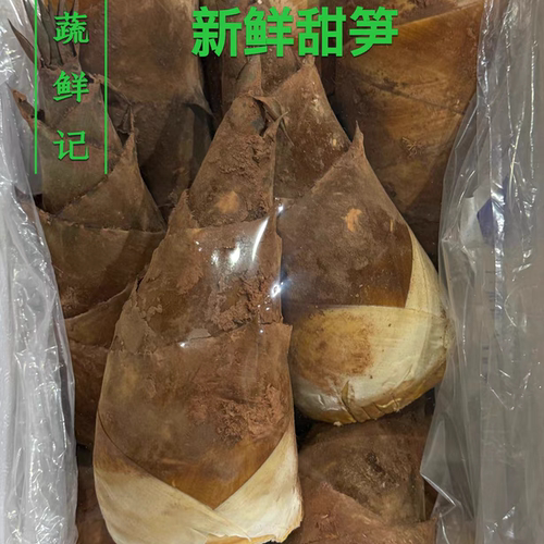 新鲜甜笋新鲜甜龙笋正宗生吃甜笋新鲜蔬菜不用焯水的竹笋火锅食材