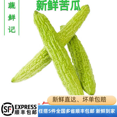 【蔬鲜记】新鲜蔬菜新鲜 苦瓜2斤装凉瓜