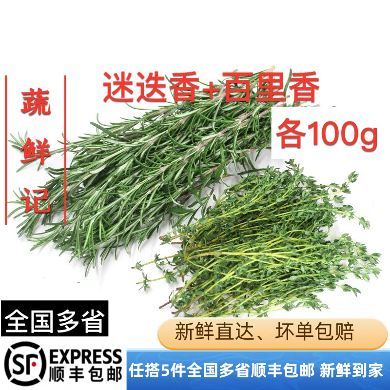 新鲜迷迭香百里香组合迷迪香迷失谜迭香草牛排用调料西餐迷迭香