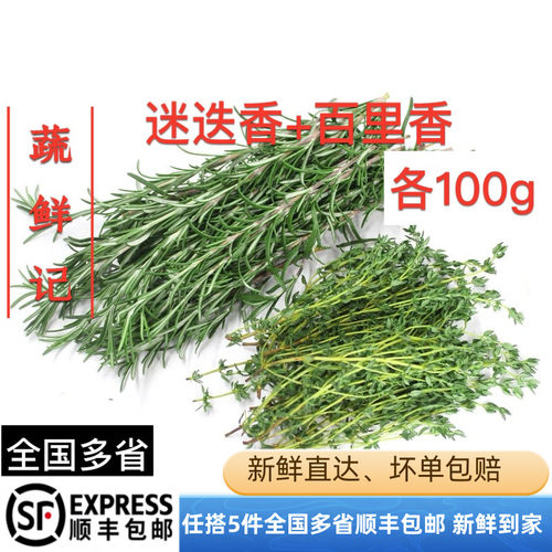 新鲜迷迭香百里香组合迷迪香迷失谜迭香草牛排用调料西餐迷迭香