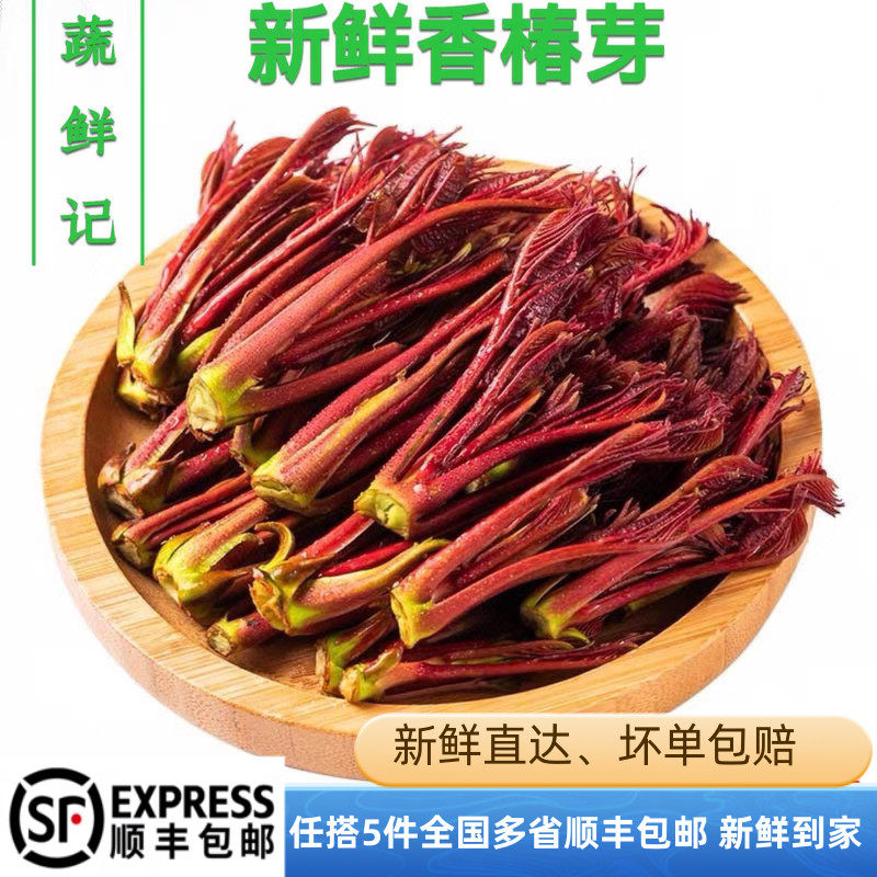 头茬新鲜红香椿芽新鲜香椿苗时令蔬菜150g/盒 任搭5件包邮