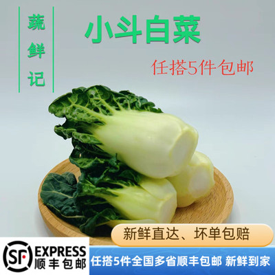 正宗宁夏供港蔬菜新鲜学斗 鹤斗白 迷你奶白菜 牛奶白菜