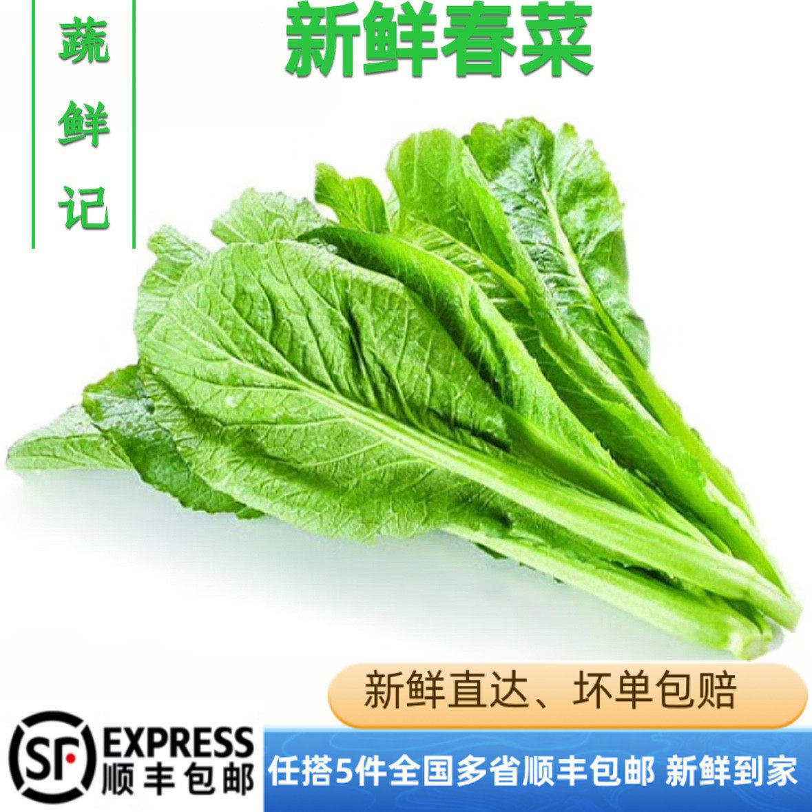 【蔬鲜记】新鲜春菜500g潮汕新鲜农家蔬菜小芥菜广东菜微苦青菜