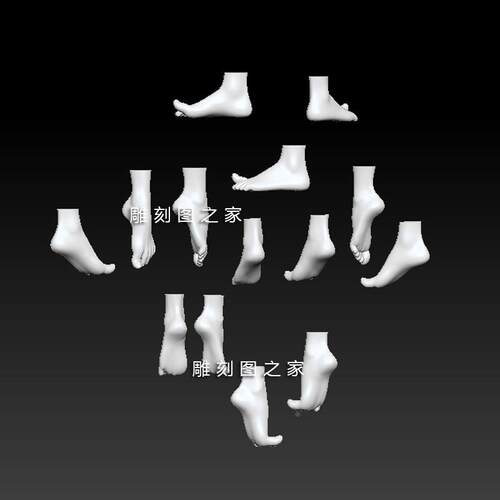 脚stl男女性模型zbrush人体rhino犀牛maya手办c4d圆雕3d打印max脚
