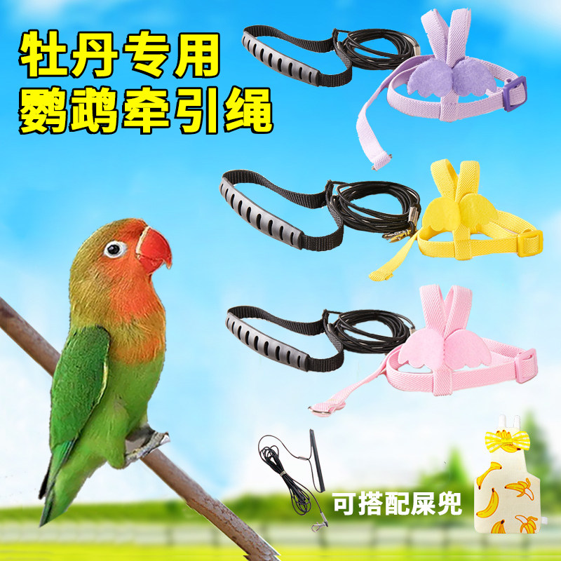 牡丹专用鹦鹉屎兜牵引绳尿不湿超轻放飞绳飞行外出背带遛训鸟神器,宠物/宠物食品及用品,鸟禽服饰,淘宝优惠券,粉丝福利购,淘宝优惠卷