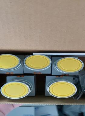 【议价】NP4-11BN  黄色