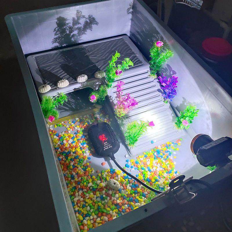 大型乌龟养殖缸套餐式水陆鱼缸侧排洞梯设计龟粮配件适用龟/鳄 龟,宠物/宠物食品及用品,海鲜缸/大型异形缸,淘宝优惠券,粉丝福利购,淘宝优惠卷
