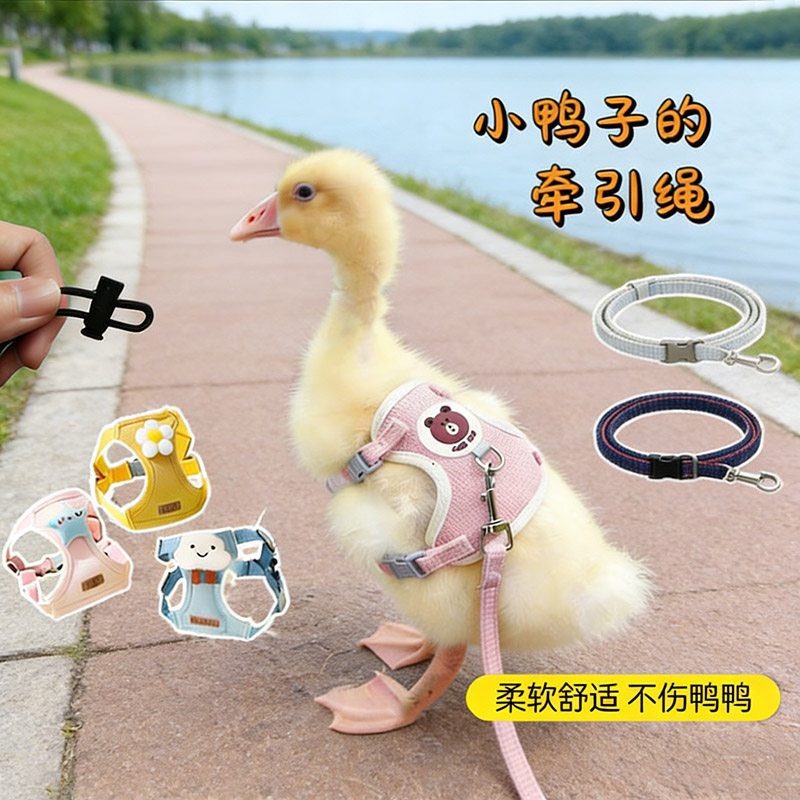 小鸭子专用牵引绳子防挣脱可伸缩公母鸡溜柯尔鸭胸背带可调节用品