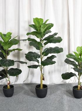 仿榕真绿植琴叶客厅室内榕树PSF仿真花景树假盆落地造景装饰盆栽