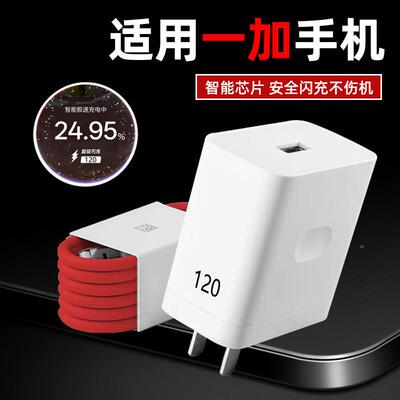 适用一加手机充电器闪充1+Ac6ace5acee3Pro120W手机151312充电头Turbo6V快充头onesplu至尊版充电器15t充电头