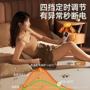 2烯电热毯025新款电加石热水暖单双人双控学墨生宿舍电J1074-电褥