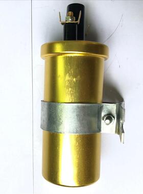 性能12V油浸式火线点圈D0LB450701高5-金色