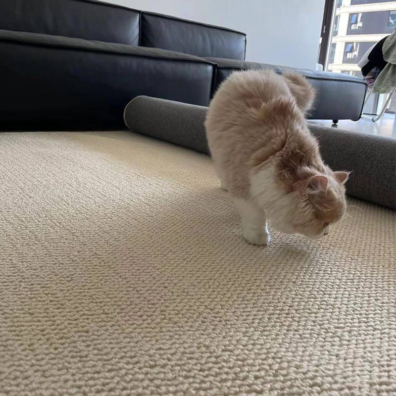 韩素色地毯民宿床边剑麻质卧室客厅书房茶室茶感毯几日防猫EPB抓