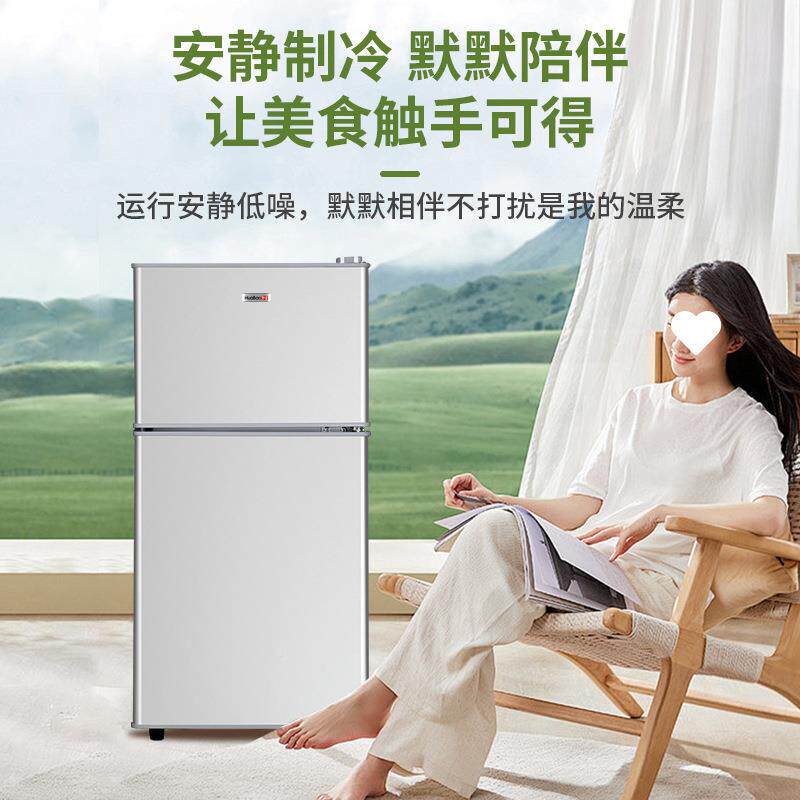一能效小箱冰二人用家用小型出租房级电宿舍用QTP迷你双门冰箱
