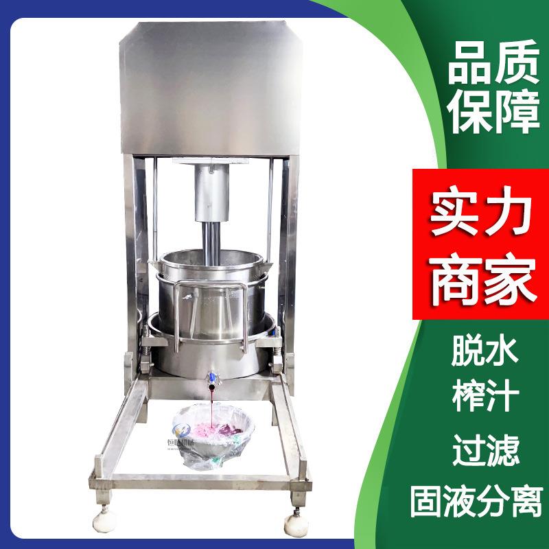 无防腐剂冰杨梅榨汁机杂质自动过滤商用果汁大型提取机压榨机