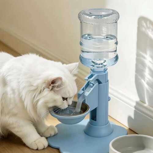 猫咪自动饮水器不插电免滤芯吸盘
