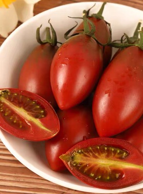 福建紫弹头迷彩小番茄种子草莓圣女果种子原装正品紫葡萄番茄种子