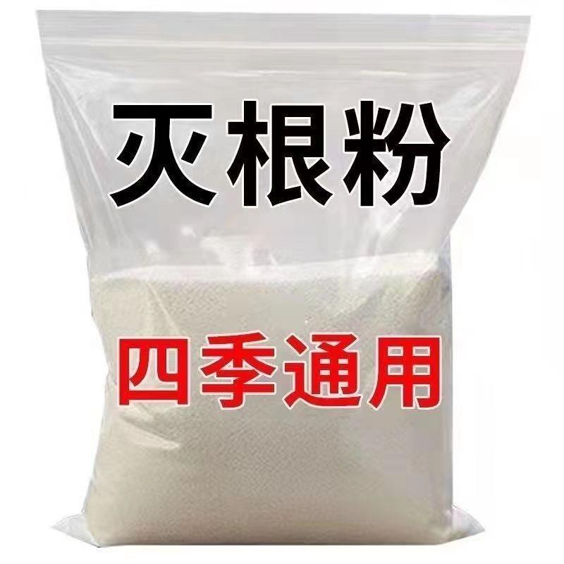 包邮PPR冷热水管件止回阀家装热熔自来水暖气管热熔单向阀止水阀