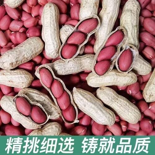 5斤装新红皮花带壳四粒农