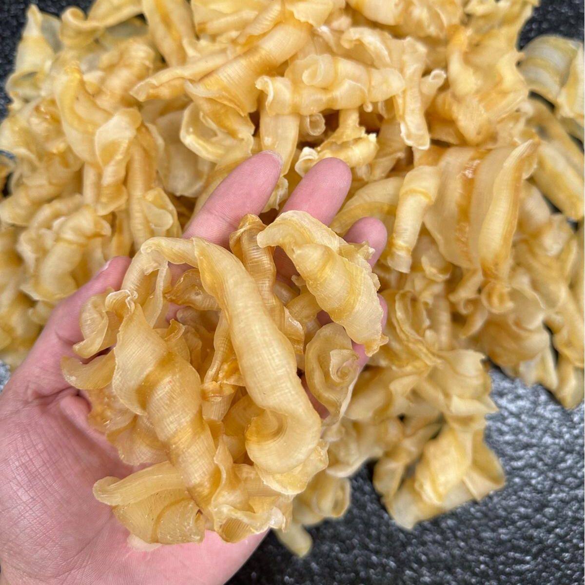 深海凤尾鱼胶干货红鱼肚
