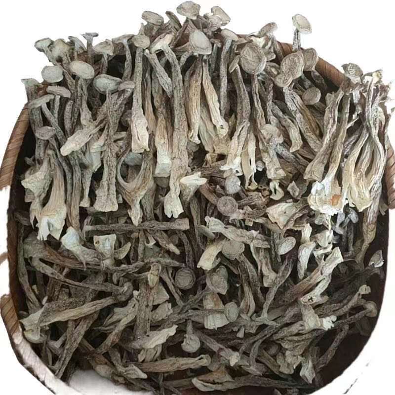 净重鹿茸菇干货无硫菌干