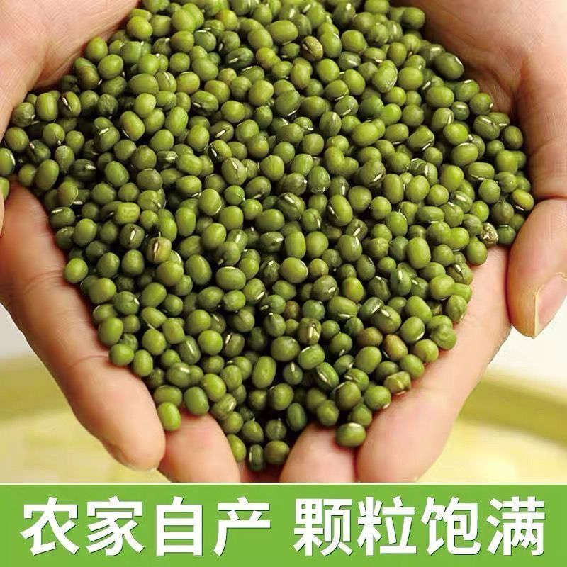 5斤新绿豆东北正宗薄皮小