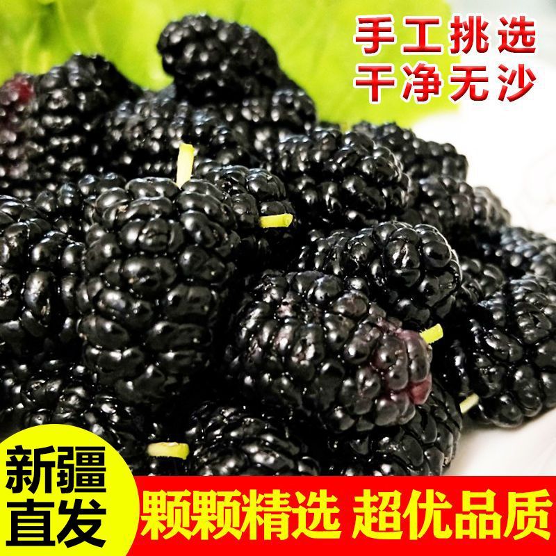 新疆桑葚干茶泡水黑桑椹