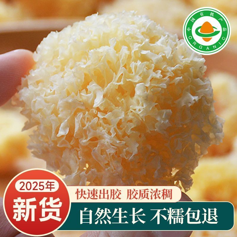 有机椴木小银耳古田新鲜