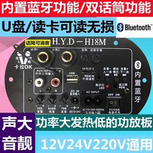 双话筒大功率蓝牙功放板12V24V220V低音炮功放板音箱主板车载家用
