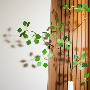 热销仿生绿植观音莲叶落地大树枝马醉木玻璃花瓶客厅玄关柜树叶仿