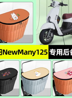 适用光阳NewMany125踏板摩托车专用储物后备箱挂尾箱后置车篮配件