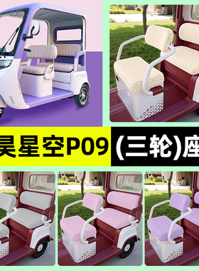 适用盛昊星空P09电动三轮车专用座套坐垫套罩四季通用改装饰配件