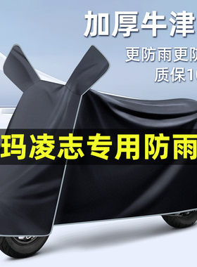 爱玛凌志2024F701/F605电瓶电动车改装饰配件专用车衣防晒防雨罩