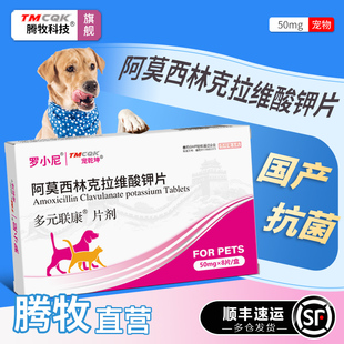 狗狗感冒药阿莫西林克拉维酸钾宠物猫狗流鼻涕咳嗽猫咪感冒消炎药