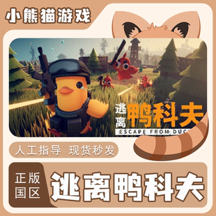 from Duckov 国区 Steam正版 秒发 Escape 现货 入库 逃离鸭科夫
